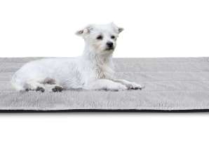 Šunų lovos kilimėlis 100x70 cm Triušio antislipas Pilka
