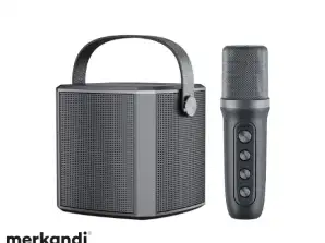 Altavoz Bluetooth Pequeña Familia KTV Micrófono de Karaoke al aire libre Altavoz de canto profesional para niños Negro