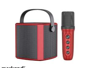 Altavoz Bluetooth Pequeño KTV Micrófono de karaoke al aire libre Altavoz de canto profesional para niños