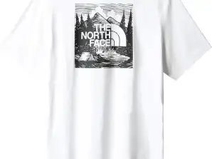 Stock men's t-shirt The north face s/s