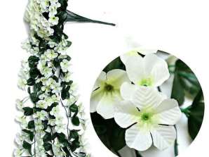 Hanging bouquet of orchids, White