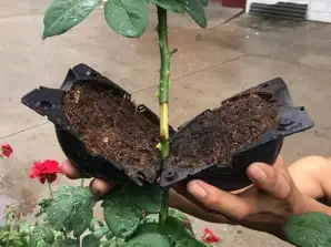 Apparaat voor het rooten van planten
