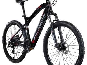 10 x E-Bike Biciclette elettriche Pedelec New A Ware Prodotti di marca