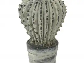 Cactus de hormigón antracita para decoración del hogar y el jardín - 21cm | EAN 8711355655655