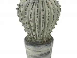 Cactus in cemento antracite per la decorazione della casa e del giardino - 21 cm | EAN 8711355655655