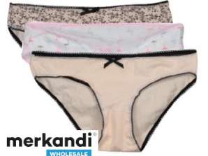 DMY Diverse color mix in a pack of 3 women's briefs for wholesale from Turkey.