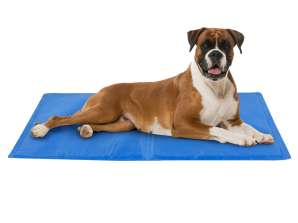 Produits pour animaux de compagnie - Maxxpro Large tapis de gel rafraîchissant bleu pour animaux de compagnie