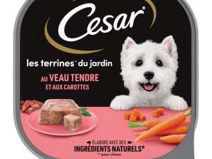 CESAR TERRINE DE POISSON BIO 100G SL