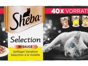 SHEBA POULTRY IN SAUCE 40X85G