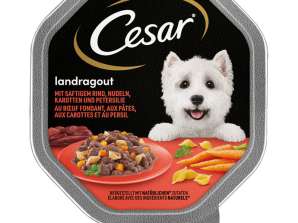 CESAR COUNTRY RAGOUT BEEF/NUUDLID 150G SL