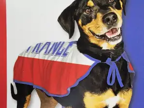Evcil hayvan ürünleri - köpek kostümleri Fransa beden S ve M