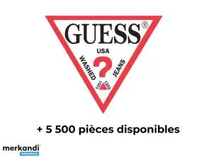 Guess wholesaler: clothing, accessories, men's and women's bags...