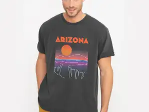 Anthracite washed French Disorder Arizona t-shirts  for men