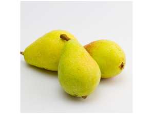 Fresh Santa Maria Pear New Season Best Price Pear High Quality Wholesale Top Quality