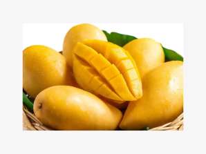 Fersk Mango Sweet og 100% Natural Tasty Hot Salg Big Sale Engrospris Golden Fresh Fruit Mango