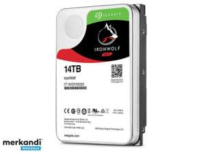 Seagate HDD IronWolf 12 TB ST12000VN0008