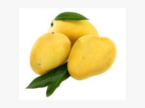 Premium Grade uit Pakistan Beste soort mango Beste kwaliteit verse mango rechtstreeks van boerderij Lage prijs
