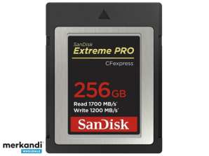 SanDisk CF Express Extreme PRO 256 Go R1700 Mo / W1200 Mo SDCFE-256G-GN4NN