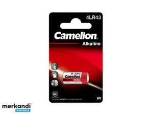 „Batterie Camelion Plus“ šarminis 6V 4LR43 (1 g.)