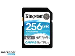 „Kingston Canvas Go“! Plius SDXC 256GB UHS-I SDG3 / 256GB