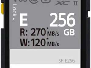 Sony SDXC E série 256GB UHS-II Classe 10 U3 V60 - SFE256