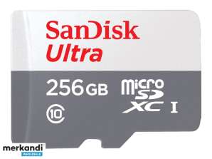 SanDisk microSDXC 256 GB Ultra Lite 100MB/s CL 10 UHS I SDSQUNR 256G GN3MN