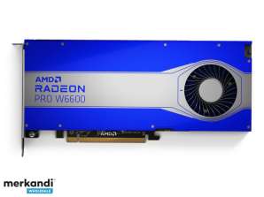 Placa de vídeo AMD Radeon Pro W6000 8GB 100 506159