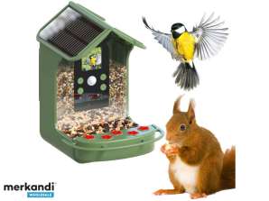 Easypix Birdycam Cámara para animales y comedero para pájaros