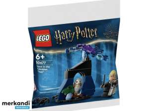 LEGO Harijs Poters Drako Aizliegtajā mežā 30677