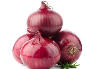 Best-selling And High Quality Wonderful Delicious Fresh Vegetable Red Grade Onion From Export