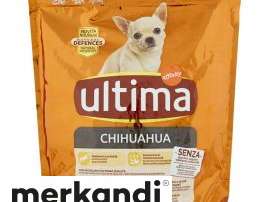 LAATSTE HOND CROC. CHIHUAH.  G800