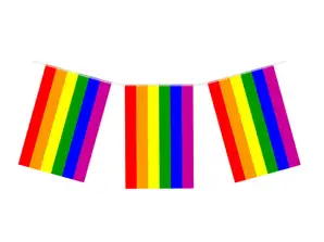 Flaga PVC Pride Snake 10 m – 20 Trwałych Flag 20 cm x 31 cm na Festiwale i Wydarzenia LGBTQ