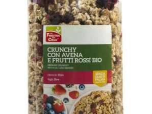 CRUJIENTE DE AVENA CON FRUTOS ROJOS ECOLÓGICOS