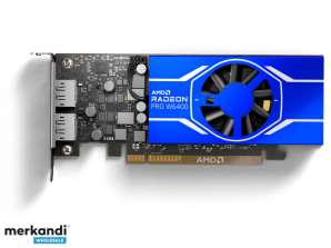 Scheda grafica AMD Radeon Pro W6400 4GB 100 506189