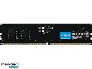 Crucial 8 GB DDR5-4800 UDIMM CL40 (16 Gbit) - CT8G48C40U5