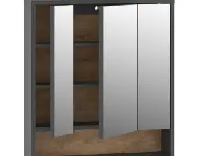 ELEPSO Loft spiegelkast in moderne industriële look 72 x 16 x 65,8 cm - volledig gemonteerd
