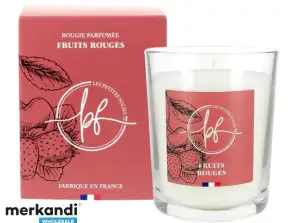 Scented Candles - Made In France - 6 Fragrances - Combustion +/- 45H