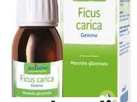 FICUS CARICA MG 60ML INT BO