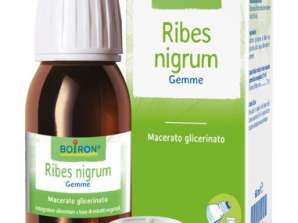 RIBES NIGRUM MG 60ML INT BO