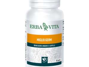 GERM 80PRL EBV MILE