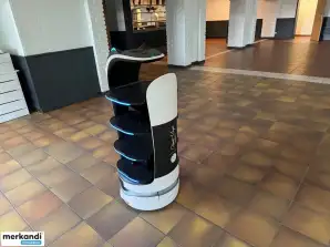 Huutokauppa: Service Robot (Pudu) - (Ostettu: 2022)