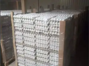 EGGS IN A PACK OF 30 in a full truck