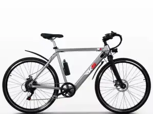 Erkekler için Elektrikli Bisiklet Ebike Şehir Bisikleti Stoğu 250W Shimano W6