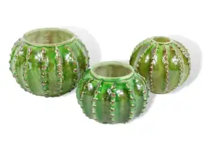 Vase Kaktus grün 10 cm / 11 cm / 14 cm
