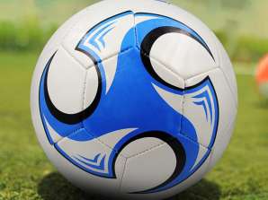 Articolo indispensabile: pallone da calcio BallPro