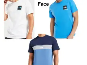 T-SHIRT NORTH FACE 3 COULEURS