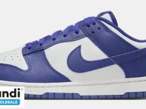 Nike Dunk Low Concord DV0833-103