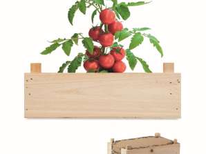 TOMATO Set de graines pour tomates Emballage en bois élégant