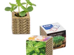 Mini corrugated cardboard planting box with individual basil banderole