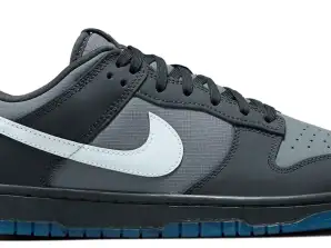 Nike Dunk с ниско съдържание на антрацит FV0384-001